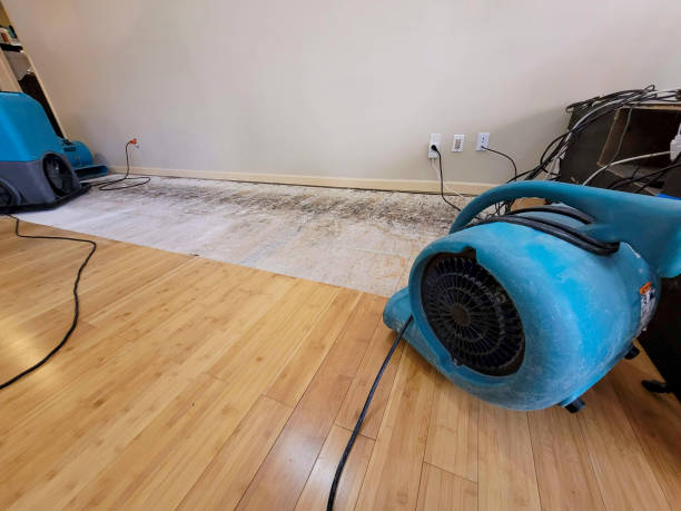 Professional Flood Damage Cleanup technician working in Hudson, IA